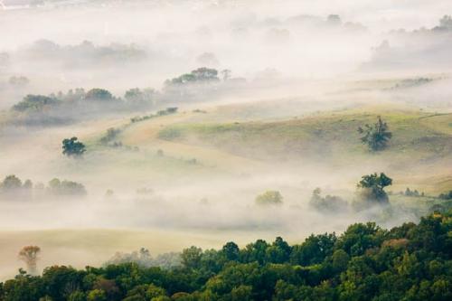Brown;Field;Green;Hill;Hillside;McCloud Mountain;Mist;Powell Valley;Tan;Tree;Trees;Yellow;fog;foggy;haze;misty;zen