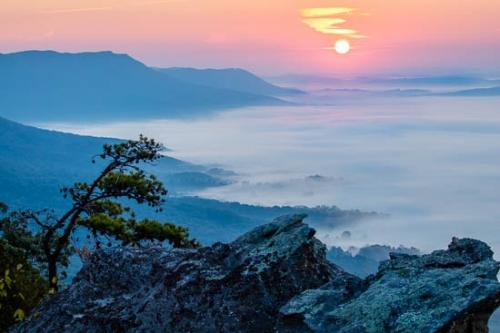 Blue;Hill;Hillside;Magenta;McCloud Mountain;Mist;Morning;Mountain;Mountain Side;Mountain Top;Mountainous;Pink;Red;Sun-up;Sunlight;Sunrise;Sunshine;fog;foggy;haze;misty;zen