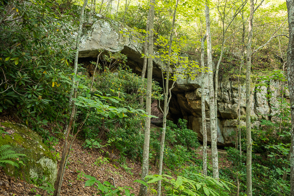 McCloud Mountain