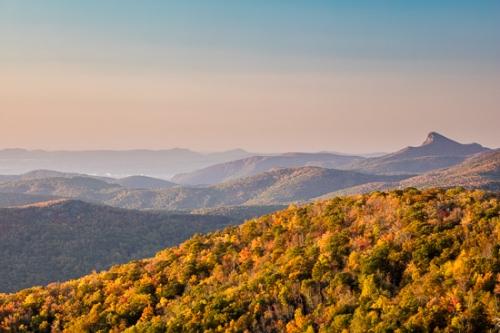 Autumn;Blue Ridge Parkway;Bluff;Brown;Calm;Fall;Forest;Forested;Gold;Healing;Health care;Healthcare;Hill;Mountain;Mountain Side;Mountain Top;Mountainous;Mountains;Nature;North Carolina;Pastoral;Peak;Range;Summit;Sunlight;Sunshine;Tan;Timber;Timberland;Wood;Woodland;Woods;blue;green;hillside;landscape;leaves;oneness;orange;peaceful;restful;serene;sky;soothing;sunlit;tranquil;trees;zen