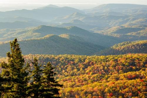 Autumn;Blue Ridge Parkway;Bluff;Brown;Calm;Fall;Forest;Forested;Gold;Healing;Health care;Healthcare;Hill;Mountain;Mountain Side;Mountain Top;Mountainous;Mountains;Nature;North Carolina;Pastoral;Peak;Range;Summit;Sunlight;Sunshine;Tan;Timber;Timberland;Wood;Woodland;Woods;blue;green;hillside;landscape;leaves;oneness;orange;peaceful;restful;serene;sky;soothing;sunlit;tranquil;trees;zen