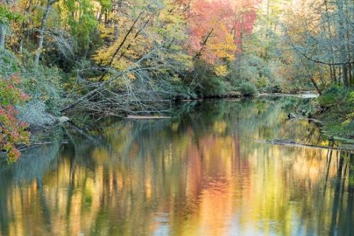 Aqua;Autumn;Blue Ridge Parkway;Branches;Brook;Brown;Calm;Creek;Fall;Flow;Gold;Healing;Health care;Healthcare;Mirror;Nature;North Carolina;Pastoral;Ripple;River;Rivers;Stream;Stream Bank;Tan;Tree;Water;Waterscape;Yellow;artsite;flowing;green;landscape;limbs;oneness;orange;peaceful;red;reflection;reflections;restful;river bank;serene;soothing;tranquil;tree limbs;trees;waterway;zen