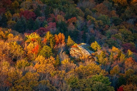 Autumn;Blue Ridge Parkway;Bluff;Boulder;Brown;Calm;Fall;Forest;Forested;Gold;Healing;Health care;Healthcare;Hill;Modern;Mountain;Mountain Side;Mountain Top;Mountainous;Mountains;Nature;North Carolina;Pastoral;Peak;Precipice;Range;Rock;Rock Face;Rock formations;Rocks;Stone;Summit;Sunlight;Tan;Timber;Timberland;Tree;Warm Colors;Warm Palette;Warm Tones;Woodland;Woods;Yellow;color;contemporary;contemporary art;green;hillside;landscape;leaves;modern art;oneness;orange;peaceful;red;restful;serene;soothing;sunlit;tranquil;trees;zen
