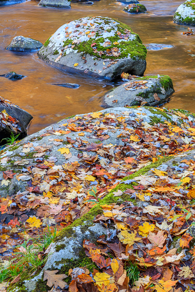 Autumn;Blue;Boulder;Boulders;Brown;Calm;Cascade;Chute;Creek;Fall;Fallen;Fallen Leaves;Falls;Flow;Geology;Gold;Great Smoky Mountains National Park;Healing;Health care;Healthcare;Leaf;Nature;Pastoral;Plant;Pouring;Ripple;River;Rock;Rock formations;Rocks;Rocky;Stone;Stones;Stream;Stream Bank;Streaming;Sunlight;Sunshine;Tan;Tennessee;Veins;Wabi Sabi;Water;Waterfalls;Waterscape;Yellow;flowing;foliage;landscape;leaves;oneness;orange;peaceful;plants;rapids;reflection;reflections;restful;serene;soothing;sunlit;tranquil;waterfall;zen