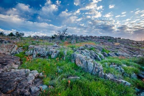 Bloom;Blossom;Blossoms;Blue;Boulder;Boulders;Close-up;Cloud;Cloud Formation;Clouds;Cloudy;Floret;Flower;Floweret;Flowering;Flowers;Flowers & Plants;Geological;Geology;Green;Healing;Health care;Healthcare;Indian Paintbrush;Landscape;Macro;Magenta;Nature;Oneness;Pastoral;Peaceful;Petal;Pink;Plant;Prickly Pear Cactus;Red;Rock;Rock Formations;Rocks;Rocky;Sky;Stone;Stones;Striation;Sunlight;Sunlit;Sunset;Texas;Texas Hill Country;Wabi Sabi;Yellow;bloom;botanical;cactus;calm;flora;floral;restful;serene;soothing;tranquil;zen