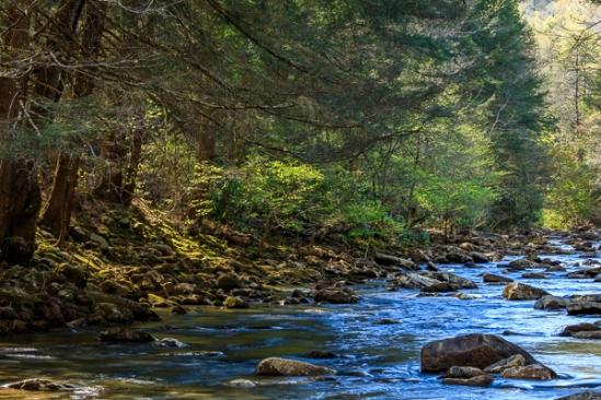 Blue;Boulder;Boulders;Branches;Brook;Brown;Calm;Cascade;Cascading;Chute;Falls;Flow;Forest;Forested;Healing;Health care;Healthcare;Moss;Nature;Pastoral;Pouring;Ripple;River;Rock;Rock formations;Rocks;Rocky;Soak Creek;Stone;Stones;Stream;Streaming;Sun rays;Sunbeam;Sunlight;Sunshine;TNC;Tan;Timber;Timberland;Tree;Water;Waterfalls;Waterscape;Wood;Woodland;Woods;flowing;green;landscape;leaves;limbs;oneness;peaceful;plants;rapids;reflections;restful;serene;soothing;sunlit;tranquil;tree limbs;trees;trunk;waterfall;wet;zen
