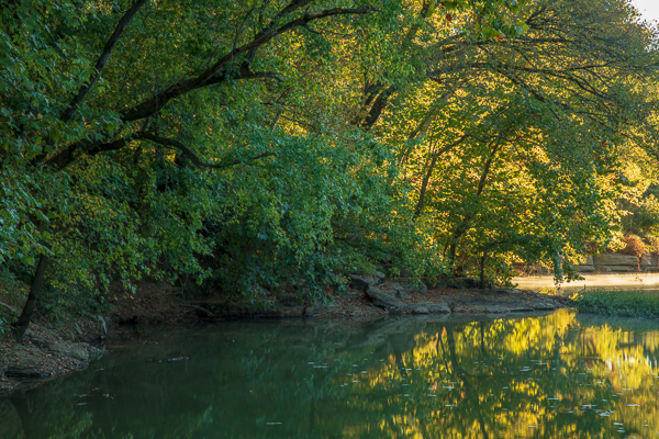 Branches;Brown;Calm;Creek;Duck River;Flow;Fog;Healing;Health care;Healthcare;Henry Horton;Henry Horton State Park;Leaf;Minimalism;Mirror;Mist;Nature;Obscured;Pastoral;Ripple;River;Seasons;Spring;Springtime;State Park;Stream;Stream Bank;Sunlight;Sunshine;Tan;Tennessee;Tree;United States;Water;Waterscape;Yellow;dawn;daybreak;flowing;foggy;foliage;green;haze;landscape;leaves;limbs;mist;misty;morn;morning;oneness;peaceful;plants;reflection;reflections;restful;river bank;serene;soothing;sunlit;sunrise;sunup;tranquil;tree limbs;trees;trunk;zen