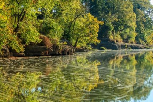 Brown;Creek;Duck River;Flow;Forest;Green;Healing;Health care;Healthcare;Henry Horton;Landscape;Mirror;Morning;Nature;Oneness;Pastoral;Peaceful;Rapids;Reflection;Reflections;River;Stream;Stream Bank;Sun-up;Sunlight;Sunlit;Sunrise;Sunshine;Timberland;Trees;Water;Woodland;Woods;calm;flowing;restful;river bank;serene;soothing;tranquil;zen