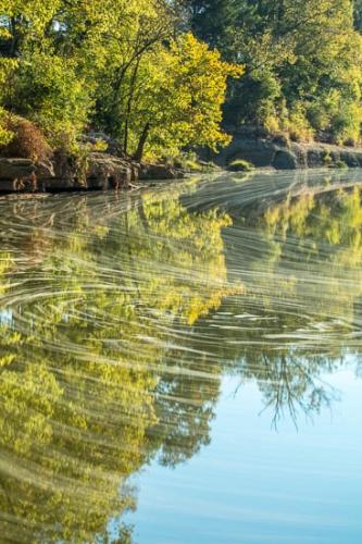 Brown;Creek;Duck River;Flow;Forest;Green;Healing;Health care;Healthcare;Henry Horton;Landscape;Mirror;Morning;Nature;Oneness;Pastoral;Peaceful;Rapids;Reflection;Reflections;River;Stream;Stream Bank;Sun-up;Sunlight;Sunlit;Sunrise;Sunshine;Timberland;Trees;Water;Woodland;Woods;calm;flowing;restful;river bank;serene;soothing;tranquil;zen