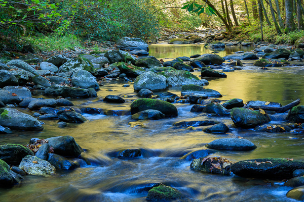 Autumn;Blue;Boulder;Boulders;Brown;Calm;Creek;Fall;Flow;Gold;Great Smoky Mountains;Great Smoky Mountains National Park;Healing;Health care;Healthcare;Minimalism;Mirror;Nature;Pastoral;Ripple;River;Rock;Rock formations;Rocks;Rocky;Stone;Stones;Stream;Stream Bank;Sunlight;Sunshine;Tan;Tennessee;United States;Water;Waterscape;Yellow;flowing;green;landscape;oneness;orange;peaceful;pool;reflection;reflections;restful;river bank;serene;soothing;sunlit;tranquil;zen