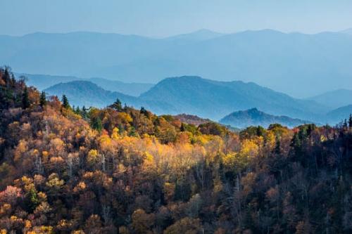 Autumn;Blue;Brown;Fall;Forest;Forested;Gold;Great Smoky Mountains;Great Smoky Mountains National Park;Green;Healing;Health care;Healthcare;Hillside;Landscape;Mountain;Mountain Side;Mountain Top;Mountainous;Nature;Oneness;Orange;Pastoral;Peaceful;Ridge;Ridgetop;Summit;Sunlight;Sunlit;Sunshine;Tan;Tennessee;Timber;Timberland;Trees;United States;Woodland;Woods;calm;restful;serene;soothing;tranquil;zen