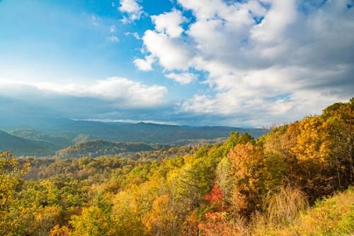 Blue;Brown;Gold;Great Smoky Mountains;Great Smoky Mountains National Park;Green;Healing;Health care;Healthcare;Landscape;Nature;Oneness;Orange;Peaceful;Red;Tan;Tennessee;United States;Yellow;calm;restful;serene;soothing;tranquil;zen