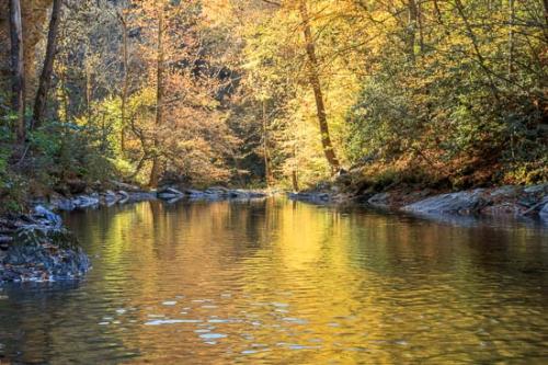 Autumn;Blue;Boulder;Boulders;Brown;Creek;Fall;Flow;Forest;Gold;Great Smoky Mountains;Great Smoky Mountains National Park;Green;Healing;Health care;Healthcare;Landscape;Nature;Oneness;Orange;Peaceful;Pebbles;Rapids;Red;River;Rock;Stone;Stones;Stream;Stream Bank;Sunlight;Sunlit;Sunshine;Tan;Tennessee;Trees;United States;Water;Waterscape;Woodland;Woods;Yellow;calm;flowing;restful;river bank;serene;soothing;tranquil;zen