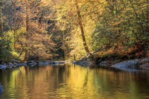 Autumn;Blue;Boulder;Boulders;Brown;Creek;Fall;Flow;Forest;Gold;Great Smoky Mountains;Great Smoky Mountains National Park;Green;Healing;Health care;Healthcare;Landscape;Nature;Oneness;Orange;Peaceful;Pebbles;Rapids;Red;River;Rock;Stone;Stones;Stream;Stream Bank;Sunlight;Sunlit;Sunshine;Tan;Tennessee;Trees;United States;Water;Waterscape;Woodland;Woods;Yellow;calm;flowing;restful;river bank;serene;soothing;tranquil;zen