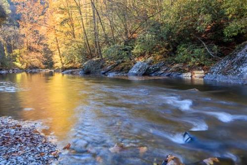 Autumn;Blue;Boulder;Boulders;Brown;Creek;Fall;Flow;Forest;Gold;Great Smoky Mountains;Great Smoky Mountains National Park;Green;Healing;Health care;Healthcare;Landscape;Nature;Oneness;Orange;Peaceful;Pebbles;Rapids;Red;River;Rock;Stone;Stones;Stream;Stream Bank;Sunlight;Sunlit;Sunshine;Tan;Tennessee;Trees;United States;Water;Waterscape;Woodland;Woods;Yellow;calm;flowing;restful;river bank;serene;soothing;tranquil;zen