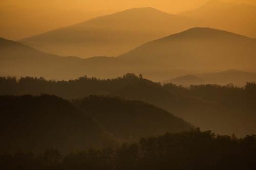 Brown;Forest;Forested;Gold;Great Smoky Mountains;Great Smoky Mountains National Park;Hill;Hillside;Mist;Mountain;Mountain Side;Mountain Top;Mountainous;Obscured;Orange;Tan;Tennessee;Timber;Timberland;Trees;United States;Wood;Woodland;Woods;Yellow;fog;foggy;haze;misty