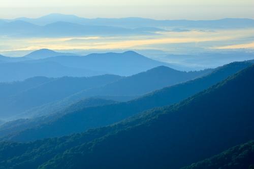Bloom;Blossom;Blossoms;Blue;Blue Ridge Parkway;Bud;Calm;Close-up;Cloud;Clouds;Floweret;Flowering;Flowers;Fog;Forest;Forested;Healing;Health care;Healthcare;Hill;Mist;Mountain;Mountain Side;Mountain Top;Mountainous;Nature;North Carolina;Obscured;Pastoral;Petal;Pinnacle;Summit;Sun-up;Sunlight;Timberland;Valley;Wood;Woodland;Woods;bloom;dawn;daybreak;flora;floral;flower;foggy;haze;hillside;landscape;mist;misty;morn;morning;oneness;peaceful;restful;serene;sky;soothing;sunrise;sunup;tranquil;wildflower;zen