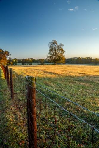 Agricultural;Agriculture;Blue;Brown;Calm;Farm;Farming;Fields;Fog;Gold;Healing;Health care;Healthcare;Mist;Nature;Pastoral;Sun-up;Sunlight;Tan;Yellow;dawn;daybreak;fence;field;foggy;green;haze;landscape;mist;misty;morn;morning;oneness;orange;pasture;peaceful;restful;serene;soothing;sunlit;sunrise;sunup;tranquil;zen