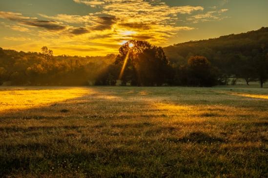 Agricultural;Agriculture;Blue;Branches;Calm;Cloud;Cloud Formation;Clouds;Cloudy;Farm;Forest;Forested;God Rays;Healing;Health care;Healthcare;Hill;Looking up;Minimalism;Mountain;Mountain Side;Mountainous;Nature;Pastoral;Sun rays;Sun-up;Sunbeam;Sunlight;Sunshine;Timber;Timberland;Tree;Weather;Wood;Woodland;Woods;Yellow;dawn;daybreak;field;grass;green;hillside;landscape;leaves;limbs;morn;morning;oneness;orange;pasture;peaceful;plants;red;restful;serene;sky;soothing;sunlit;sunrise;sunup;tranquil;tree limbs;trees;trunk;zen