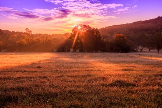 Agricultural;Agriculture;Branches;Calm;Cloud;Cloud Formation;Clouds;Cloudy;Farm;Forest;Forested;God Rays;Healing;Health care;Healthcare;Hill;Looking up;Minimalism;Mountain;Mountain Side;Mountainous;Nature;Pastoral;Purple;Sun rays;Sun-up;Sunbeam;Sunlight;Sunshine;Timber;Timberland;Tree;Violet;Weather;Wood;Woodland;Woods;Yellow;color;dawn;daybreak;field;grass;hillside;landscape;leaves;limbs;morn;morning;oneness;orange;pasture;peaceful;plants;purple;red;restful;serene;sky;soothing;sunlit;sunrise;sunup;tranquil;tree limbs;trees;trunk;violet;zen