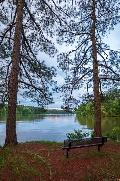 Blue;Branches;Brown;Calm;Forest;Forested;Gold;Healing;Health care;Healthcare;Mirror;Natchez Trace State Park;Nature;Pastoral;Ripple;State Park;Sunlight;Sunset;Sunshine;Tan;Tennessee;Timber;Timberland;Tree;United States;Water;Wood;Woodland;Woods;bark;bench;bench seat;branch;dusk;evening;green;lake;landscape;leaves;limbs;nightfall;oneness;peaceful;plants;pool;reflection;reflections;restful;serene;soothing;stump;sundown;sunlit;sunset;tranquil;tree limbs;tree trunk;trees;trunk;twilight;zen