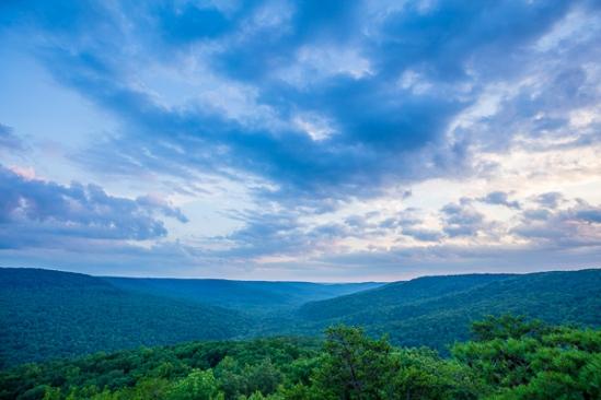 Bald Point;Blue;Bluff;Branches;Calm;Chestnut Mountain;Cloud;Cloud Formation;Clouds;Cloudy;Fog;Forest;Forested;Healing;Health care;Healthcare;Mist;Mountain;Mountain Side;Mountain Top;Mountainous;Mountains;Nature;Pastoral;Peak;Pink;Pinnacle;Range;Rock Face;Summit;Sunlight;Sunset;TNC;Tennessee;Timber;Timberland;Tree;United States;Weather;Wood;Woodland;Woodlands;Woods;branch;cliff;dusk;evening;foggy;green;haze;hillside;landscape;leaves;mist;misty;nightfall;oneness;peaceful;plants;restful;serene;sky;soothing;sundown;sunset;tranquil;tree limbs;trees;twilight;zen