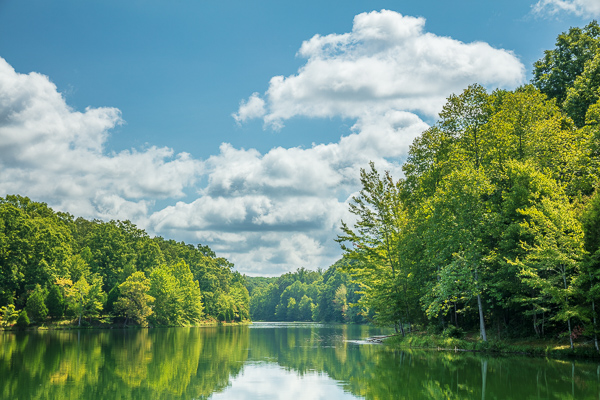 Blue;Branches;Calm;Cloud;Cloud Formation;Clouds;Cloudy;Forest;Forested;Healing;Health care;Healthcare;Minimalism;Mirror;Montgomery Bell State Park;Nature;Pastoral;Ripple;Seasons;State Park;Summer;Summertime;Sunlight;Sunshine;Tennessee;Timber;Timberland;Tree;United States;Water;Waterscape;Wood;Woodland;Woods;green;lake;landscape;leaves;oneness;peaceful;plants;reflection;reflections;restful;serene;sky;soothing;sunlit;tranquil;tree limbs;trees;zen