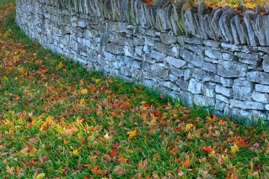 Autumn;Botanical;Brown;Calm;Fall;Fallen;Fallen Leaves;Gold;Healthcare;Leaf;Nature;Pastoral;Rock;Rocks;Stone;Stones;Tan;Veins;Wabi Sabi;Yellow;foliage;green;leaves;oneness;orange;peaceful;plant;restful;serene;soothing;tranquil;zen