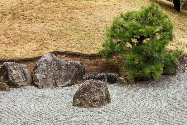 Abstract;Boulder;Boulders;Branches;Calm;Geology;Gold;Healing;Health care;Healthcare;Japanese Garden;Nature;Pastoral;Rock;Rock formations;Rocks;Rocky;Stone;Stones;Tan;Tree;Yellow;asian;garden;green;landscape;oneness;orange;oriental;peaceful;plants;restful;serene;soothing;tranquil;tree limbs;trees;zen;zen garden