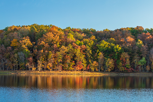 Autumn;Blue;Branches;Brown;Calm;Fall;Fall Creek Falls State Resort Park;Forest;Forested;Gold;Healing;Health care;Healthcare;Leaf;Mirror;Nature;Pastoral;Ripple;State Park;Sunlight;Sunshine;Tan;Tennessee;Timber;Timberland;Tree;United States;Water;Waterscape;Wood;Woodland;Woods;Yellow;foliage;green;lake;landscape;leaves;limbs;oneness;orange;peaceful;plants;pool;red;reflection;reflections;restful;soothing;sunlit;tranquil;tree limbs;trees;trunk;zen
