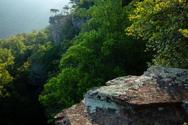 Bluff;Boulder;Boulders;Branches;Brown;Buzzard's Roost;Calm;Concepts;Cool Colors;Cool Palette;Cool Tones;Fall Creek Falls State Resort Park;Fog;Forest;Forested;Green;Greens;Healing;Health care;Healthcare;Leaves;Mist;Mountain;Mountain Side;Mountain Top;Mountainous;Nature;Oneness;Pastoral;Pikeville;Rock;Rock formations;Rocks;Seasons;State Park;Stone;Summer;Summertime;Summit;Sunlight;Sunshine;Tan;Tennessee;Timber;Timberland;Tree;United States;Wood;Woodland;Woods;cliff;color;foggy;haze;landscape;limbs;mist;misty;peaceful;plants;restful;serene;soothing;sunlit;tranquil;tree;tree limbs;trees;zen