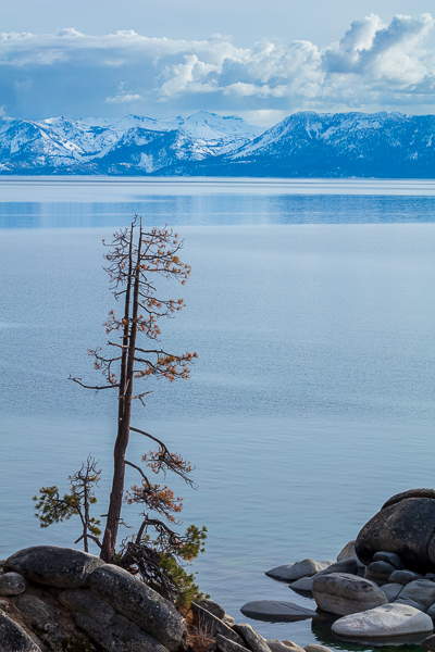 Blue;Branches;Calm;Cloud;Clouds;Evergreen;Healing;Health care;Healthcare;Lake Tahoe;Mountain;Mountain Side;Mountain Top;Mountainous;Nature;Nevada;Ripple;Snow;Summit;Tree;United States;Water;Waterscape;alpine;green;lake;landscape;leaves;peaceful;reflection;reflections;restful;serene;sky;soothing;tranquil;tree limbs;trees