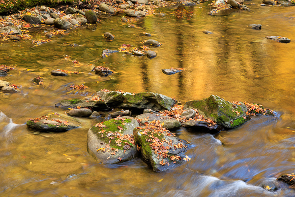 Boulder;Boulders;Brown;Calm;Concepts;Cool Colors;Cool Palette;Cool Tones;Creek;Fallen;Fallen Leaves;Flow;Forest;Gold;Great Smoky;Great Smoky Mountains National Park;Green;Greens;Healing;Health care;Healthcare;Leaf;Leaves;Minimalism;Mirror;Nature;Oneness;Pastoral;Personal;Pool;River;Rock;Rocks;Rocky;Stone;Stones;Stream;Stream Bank;Sunlight;Sunshine;Tan;Tennessee;Timber;Timberland;United States;Wabi Sabi;Water;Waterscape;Wood;Woodland;Woods;Yellow;color;flowing;foliage;landscape;peaceful;plants;rapids;reflection;reflections;restful;river bank;serene;soothing;sunlit;tranquil;trees;zen