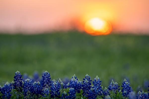 Calm;Healing;Health care;Healthcare;Texas;United States;peaceful;restful;serene;soothing;tranquil