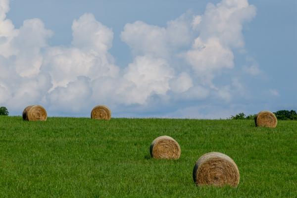 Agricultural;Agriculture;Bale;Blue;Brown;Calm;Cloud;Cloud Formation;Clouds;Cloudy;Cool Colors;Cool Palette;Cool Tones;Farm;Farming;Gold;Green;Greens;Healing;Health care;Healthcare;Hill;Tan;Weather;color;field;grass;hay;hillside;pasture;peaceful;restful;serene;sky;soothing;tranquil