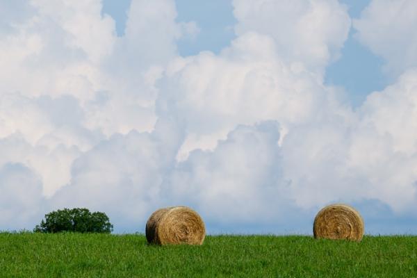 Agricultural;Agriculture;Bale;Blue;Brown;Calm;Cloud;Cloud Formation;Clouds;Cloudy;Cool Colors;Cool Palette;Cool Tones;Farm;Farming;Gold;Green;Greens;Healing;Health care;Healthcare;Hill;Tan;Weather;color;field;grass;hay;hillside;pasture;peaceful;restful;serene;sky;soothing;tranquil