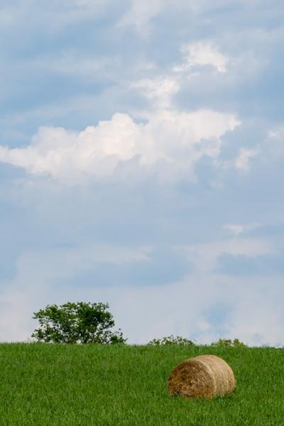 Agricultural;Agriculture;Bale;Blue;Brown;Calm;Cloud;Cloud Formation;Clouds;Cloudy;Cool Colors;Cool Palette;Cool Tones;Farm;Farming;Gold;Green;Greens;Healing;Health care;Healthcare;Hill;Tan;Weather;color;field;grass;hay;hillside;pasture;peaceful;restful;serene;sky;soothing;tranquil