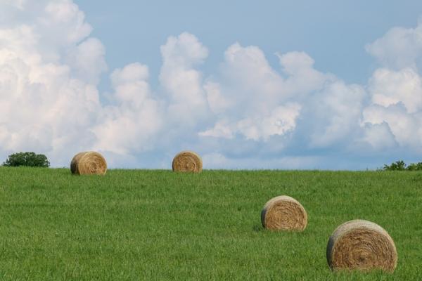 Agricultural;Agriculture;Bale;Blue;Brown;Calm;Cloud;Cloud Formation;Clouds;Cloudy;Cool Colors;Cool Palette;Cool Tones;Farm;Farming;Gold;Green;Greens;Healing;Health care;Healthcare;Hill;Tan;Weather;color;field;grass;hay;hillside;pasture;peaceful;restful;serene;sky;soothing;tranquil