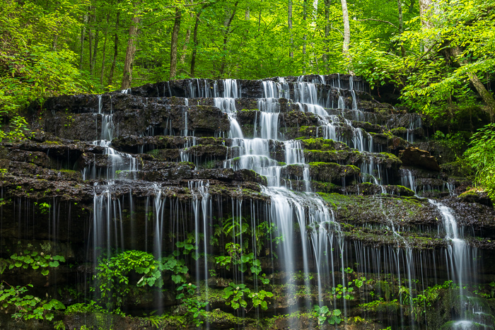 Biophilic;Blue;Bluff;Brown;Calm;Cascade;Chute;Cloud;Cloud Formation;Concepts;Cool Colors;Cool Palette;Cool Tones;Falls;Forest;Forested;Green;Greens;Healing;Health care;Healthcare;Leaf;Leaves;Looking up;Moss;Nature;Oneness;Pastoral;Pouring;Rock formations;Stillhouse Hollow Falls;Streaming;Sunlight;Sunshine;Tan;Tennessee;Timber;Timberland;United States;Waterfalls;Wood;Woodland;Woods;biophilic design;biophilic interior design;calming;cliff;color;foliage;landscape;peaceful;plants;restful;restorative;serene;sky;soothing;sunlit;tranquil;trees;waterfall