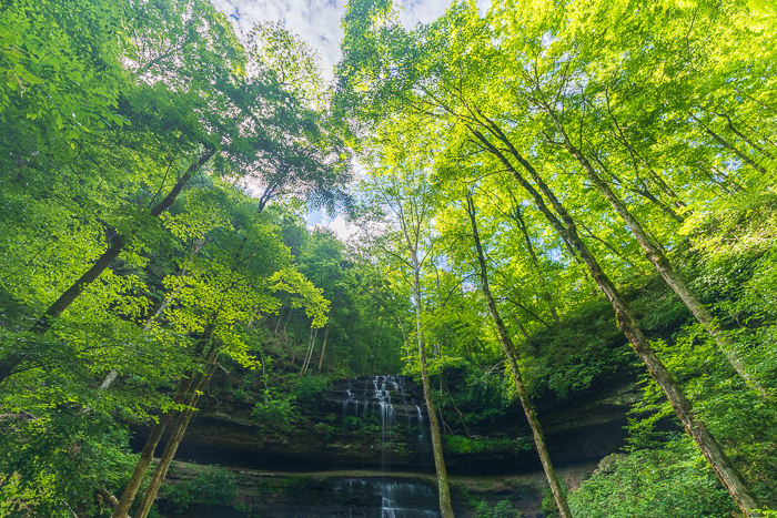 Biophilic;Blue;Bluff;Brown;Calm;Canopy;Cascade;Chute;Cloud;Cloud Formation;Concepts;Cool Colors;Cool Palette;Cool Tones;Falls;Forest;Forested;Green;Greens;Healing;Health care;Healthcare;Leaf;Leaves;Looking up;Nature;Oneness;Pastoral;Pouring;Rock formations;Stillhouse Hollow Falls;Streaming;Sunlight;Sunshine;Tan;Tennessee;Timber;Timberland;United States;Waterfalls;Wood;Woodland;Woods;biophilic design;biophilic interior design;calming;cliff;color;foliage;landscape;peaceful;plants;restful;restorative;serene;sky;soothing;sunlit;tranquil;trees;waterfall