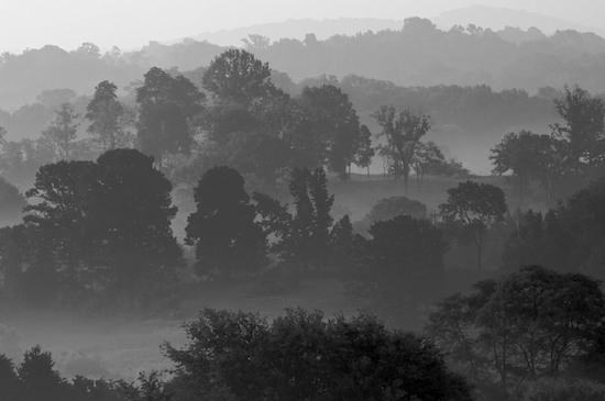 Beginning;Black and White;Fog;Hills;Oneness;Rolling Hills;Sunrise;Tennessee;Trees