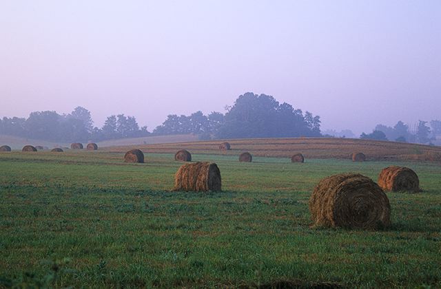 Barn;Farming;Ranch;Plantation;Estate;Family Farm;Garden;Cultivate;Agriculture;Hay;Fields
