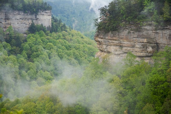 Bark;Bluff;Canyon;Cliff;Cumberland Plateau;Forest;Jamestown;Natural;Nature;Outdoors;Pogue Creek;Rock Face;Rock Formations;Sheer;Steep;Tennessee;Trees;Woodland;Woods