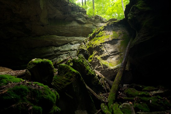 Abstract;Abstractions;Bark;Boulder;Branch;Branches;Bush;Geological;Geology;Herbaceous;Leafy;Moss;Patterns;Plant;Rock;Rock formations;Rocks;Shapes;Shrub;Stone;Striation;Textures;Tree Trunk;Trees;Trunk;Woodland