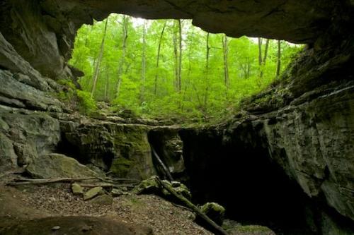 Geological;Cave;Rock;Rock Formations;Rocks;Landscape;Stone;Geology;Green;Gray;Striation;tree;trees;Brown