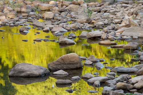 Abstract;Abstractions;Alabama;Boulder;Brook;Brown;Creek;Fort Payne;Geological;Geology;Green;Little River Canyon National Preserve;Patterns;Reflection;Reflections;River;River Bed;Riverbed;Rivers;Rock;Rock Formations;Rocks;Shapes;Stone;Stones;Stream;Striation;Tan;Textures;water;Water;waterway