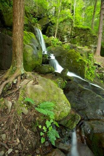 Waterfall;Stream;Spray;Cascade;Flow;Great Smoky Mountains National Park;flowing;Water;Pouring;Tennessee;Wet;Cascading;Cool