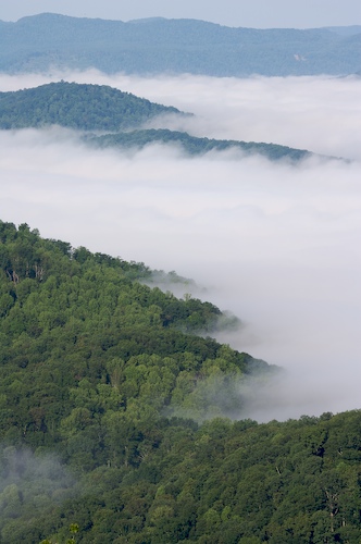 Fog;Foggy;Forest;Haze;Mist;Misty;Mountain;Mountain Top;Mountainous;Mountains;Norma;Northern Cumberlands;Obscured;Peak;Pinnacle;Precipice;Range;Summit;Sundquist Wildlife Management Area;Tennessee;Timber;Timberland;Wood;Woodland;Woodlands;Woods