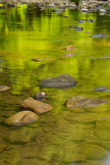 Boulder;Brook;Creek;Cumberland Mountains;Geological;Geology;Green;Reflection;Reflections;River;River Bed;Riverbed;Rivers;Rivulet;Rock;Rock Formations;Rocks;Smokey Creek;Smokey Junction;Stone;Stones;Stream;Streamlet;Striation;Tennessee;water;Water;waterway;Yellow
