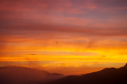 close of day;dusk;evening;eventide;Fog;Foggy;last Light;Mist;Misty;Mountain;Mountain Top;Mountainous;Mountains;Norma;Northern Cumberlands;Peak;Pinnacle;Precipice;Range;Sky;Summit;sun;Sundquist Wildlife Management Area;sunset;Tennessee